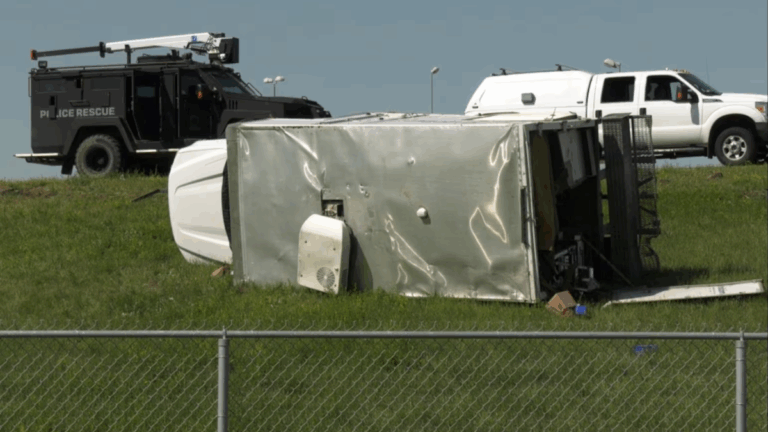 Saskatoon police say suspect stole taxi cab, assaulted driver before police chase that saw officers draw guns